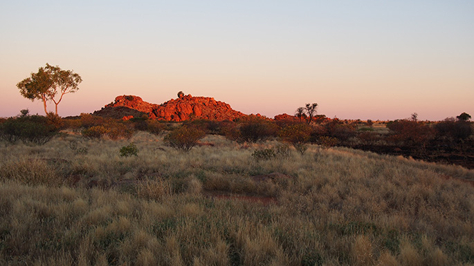 masinengkeruanus