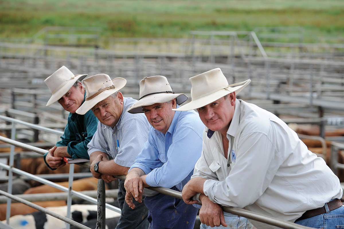 Photograph showing four men leaning forward with forearms resting on a metal fence rail. Each of the men wears an open-collared shirt and stockman's style hat. Their heads are inclined to the right. The backs of various coloured cattle and a series of metal cattleyards and green grass form the backdrop.